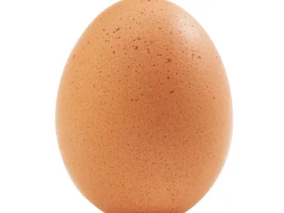 Egg
