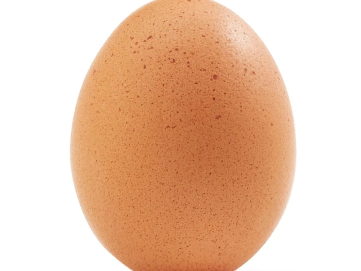 Egg
