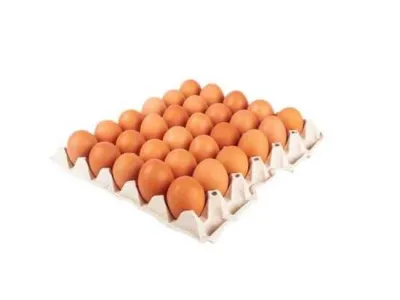 30 Eggs Tray