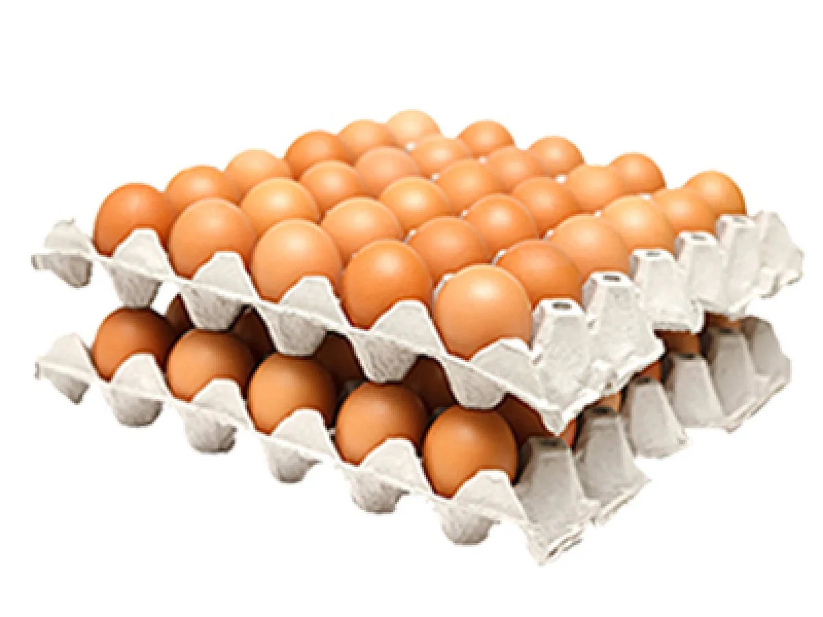 60 egg tray
